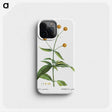 2-45_Treatise-on-Trees-and-Shrubs_phone