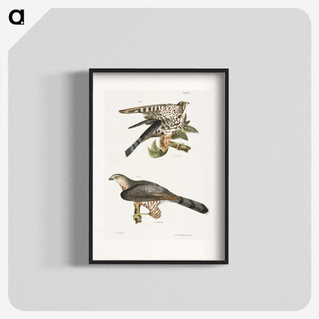 2-45_Zoology-of-New-York_blk