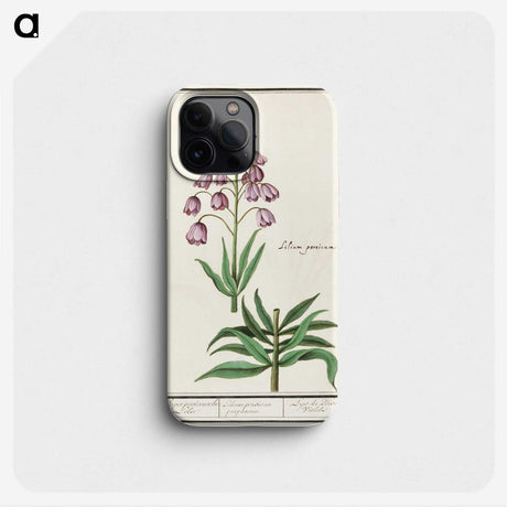 2-46_Anselmus-Boetius-de-Boodt_phone