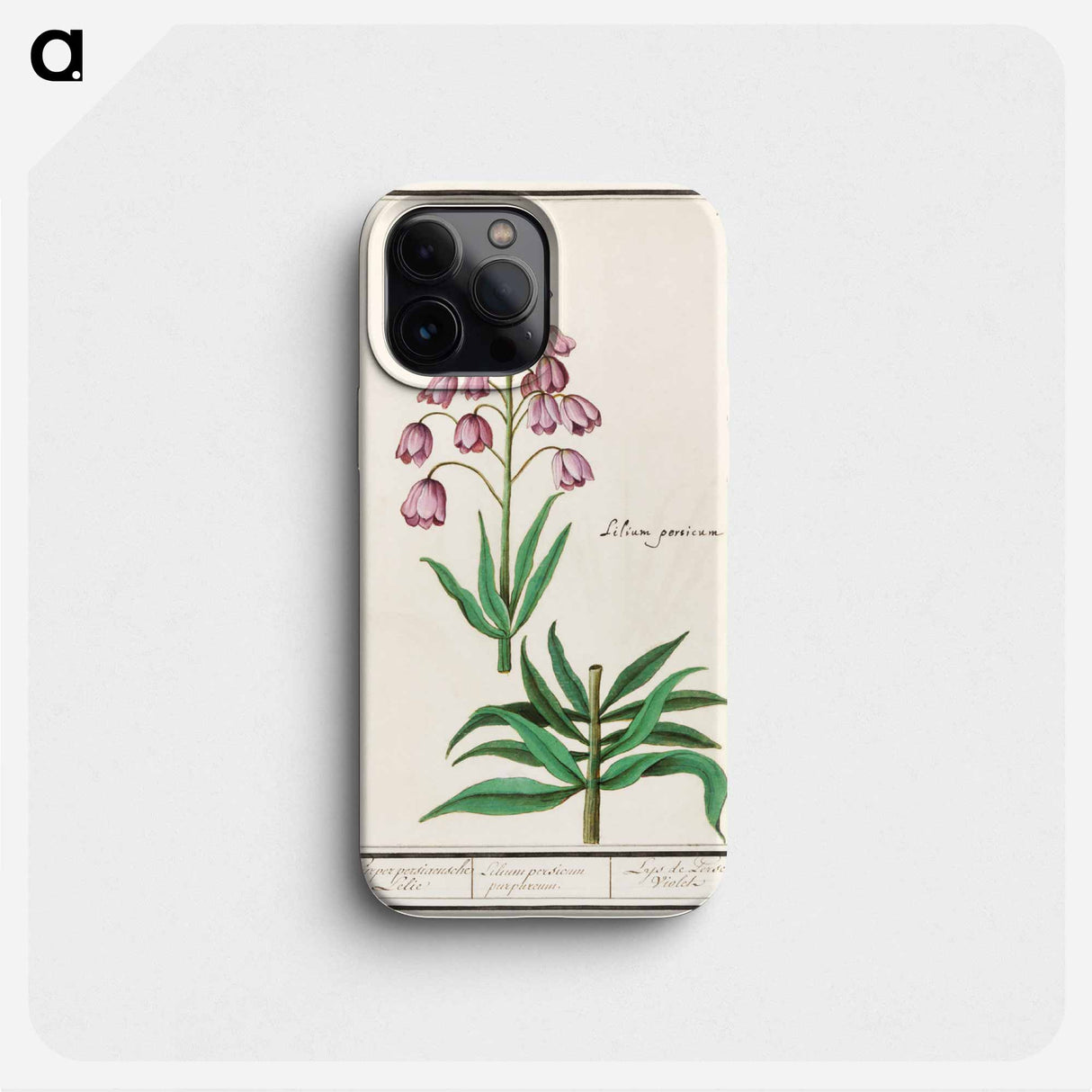Persian lily - アンセルムス ボエティウス デ ブート Phone Case.