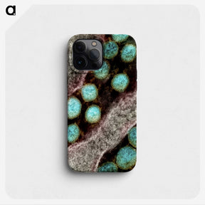 2-46_COVID-19_phone