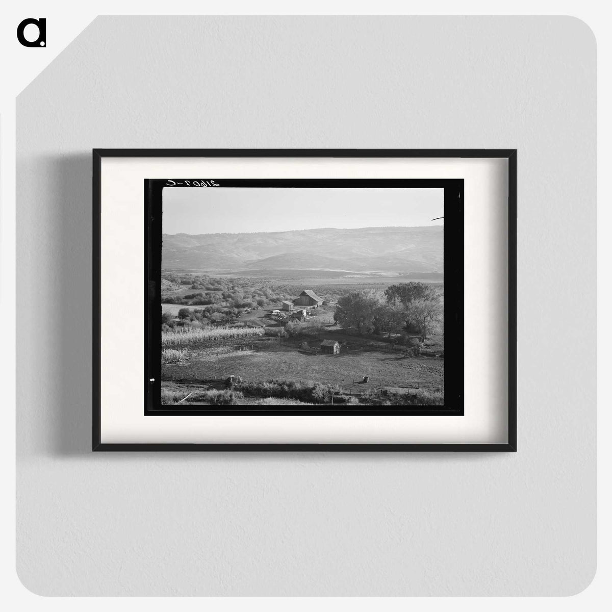2-46_Dorothea-Lange_blk