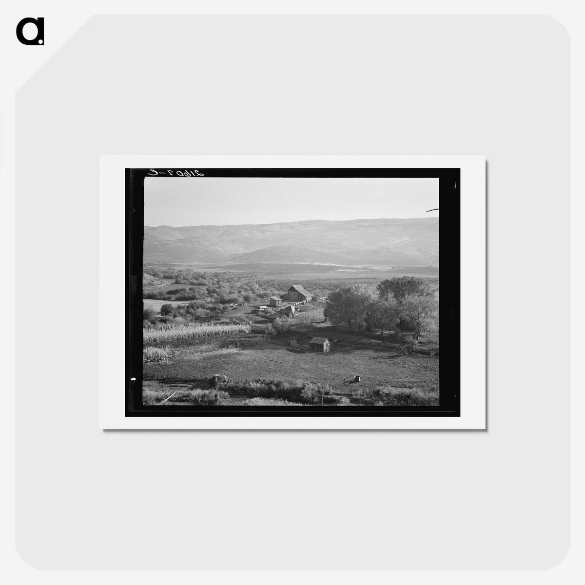 2-46_Dorothea-Lange_hagaki