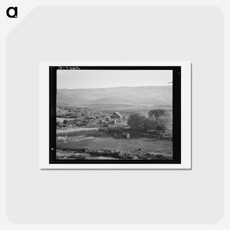 2-46_Dorothea-Lange_hagaki