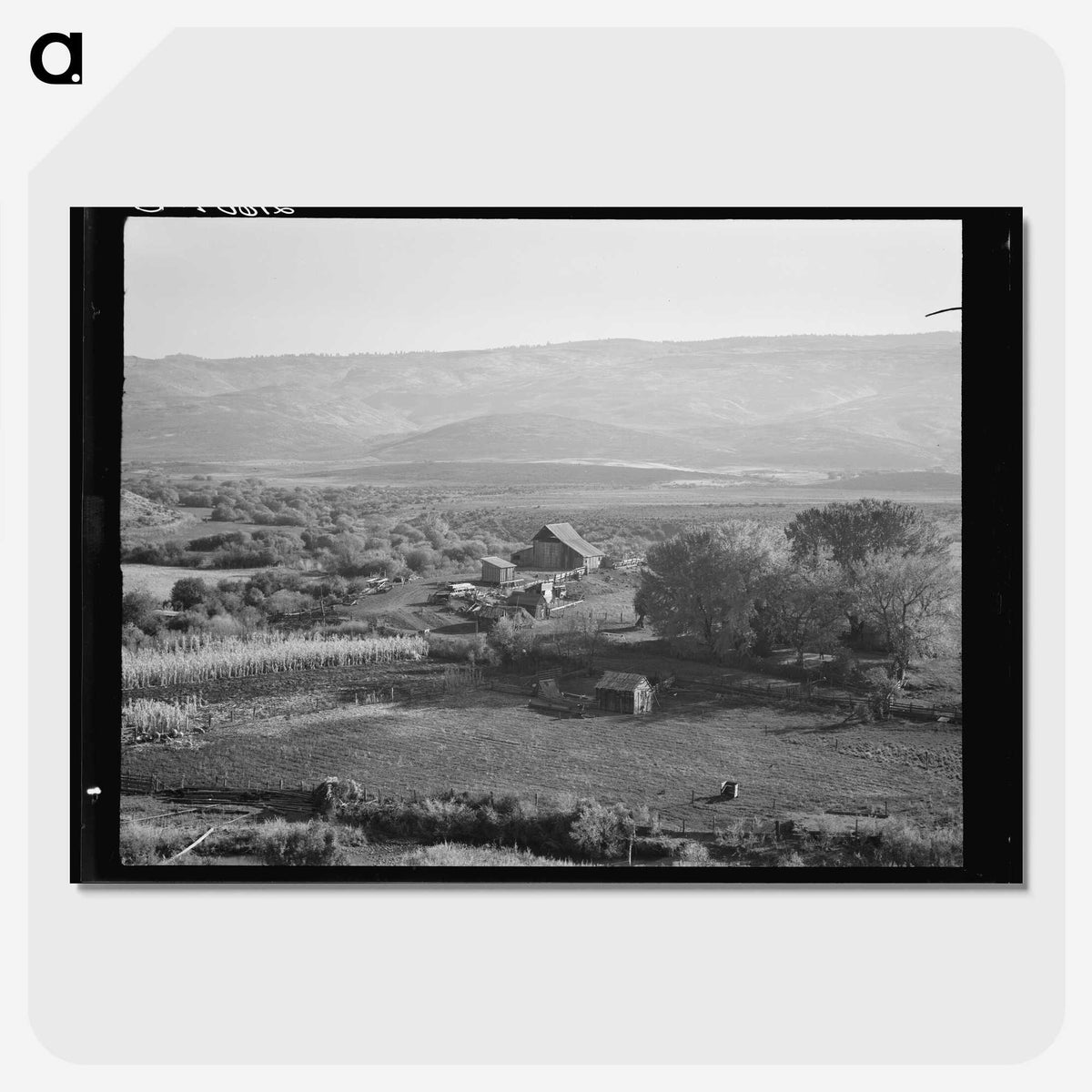 2-46_Dorothea-Lange_picture-crop