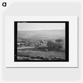 2-46_Dorothea-Lange_picture