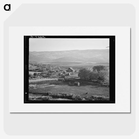 2-46_Dorothea-Lange_picture