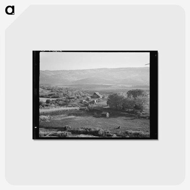 2-46_Dorothea-Lange_postcard