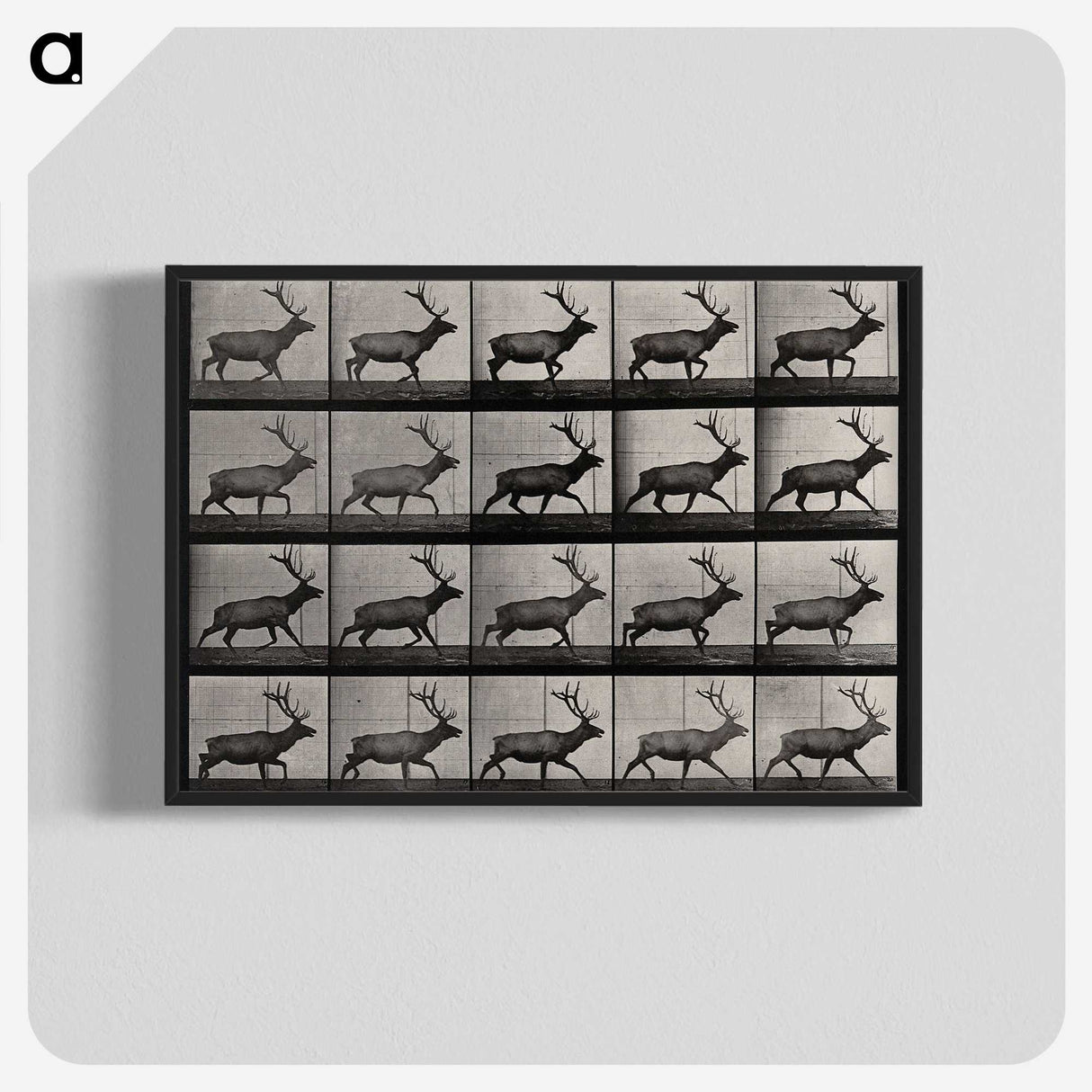 2-46_Eadweard-Muybridge_blk-crop