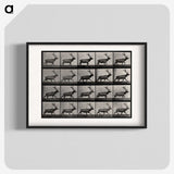 2-46_Eadweard-Muybridge_blk