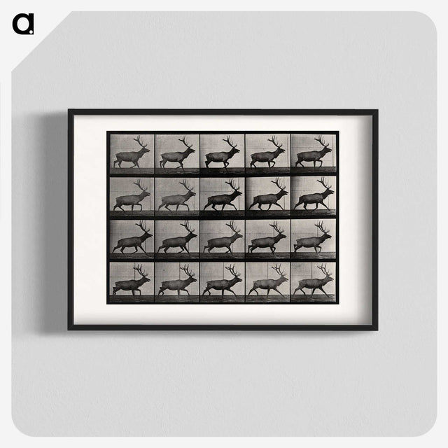2-46_Eadweard-Muybridge_blk