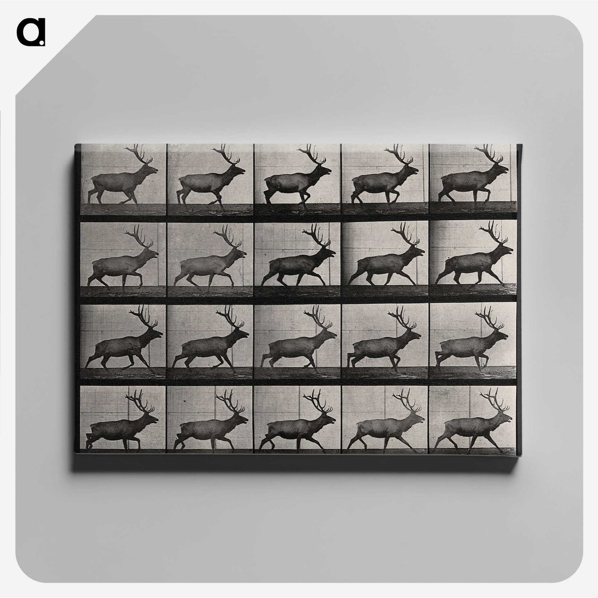 2-46_Eadweard-Muybridge_canvas