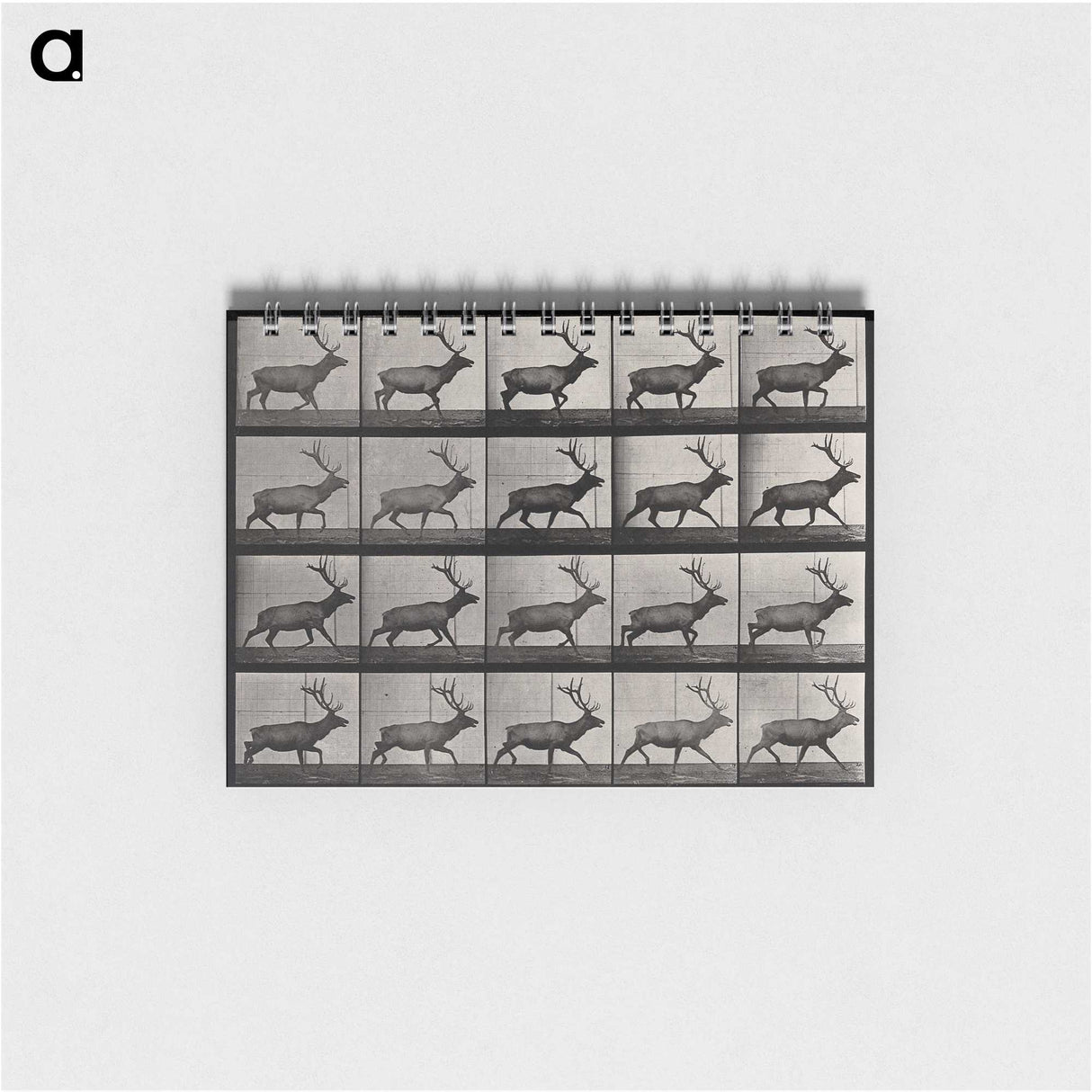 2-46_Eadweard-Muybridge_memo