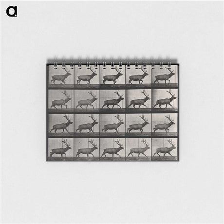 2-46_Eadweard-Muybridge_memo