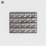 アートメモ帳-Moose Walking
 - エドワード マイブリッジ Memo.