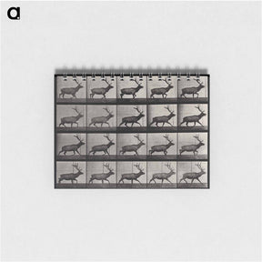 アートメモ帳-Moose Walking
 - エドワード マイブリッジ Memo.