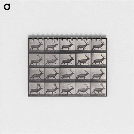 アートメモ帳-Moose Walking
 - エドワード マイブリッジ Memo.