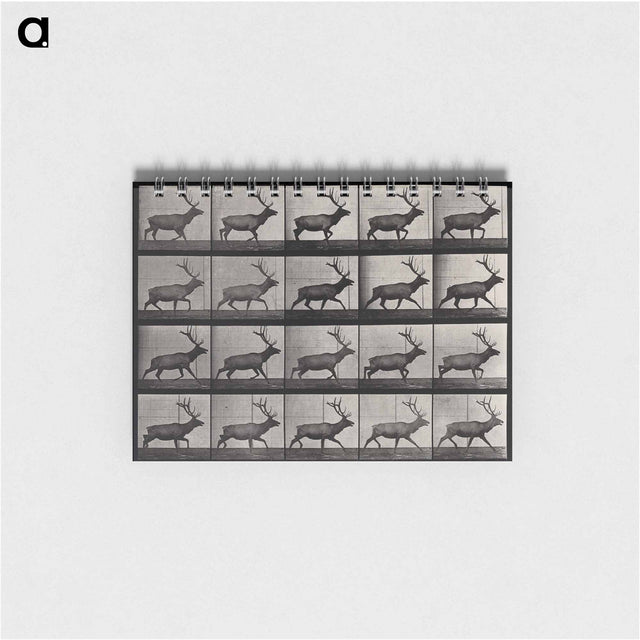 アートメモ帳-Moose Walking
 - エドワード マイブリッジ Memo.