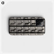 2-46_Eadweard-Muybridge_phone