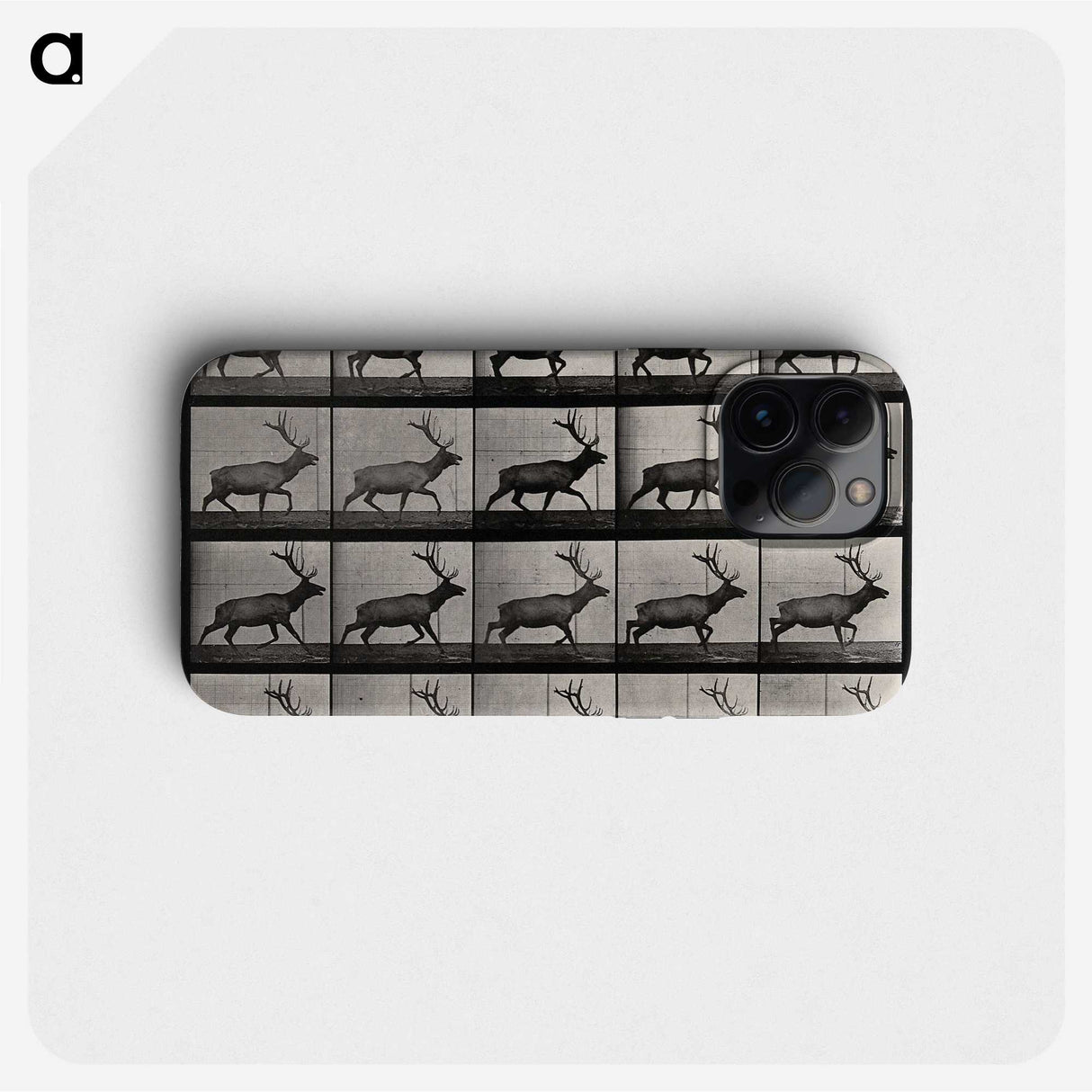 2-46_Eadweard-Muybridge_phone