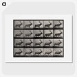 2-46_Eadweard-Muybridge_picture