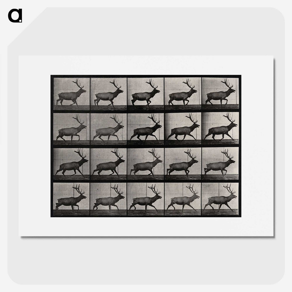 2-46_Eadweard-Muybridge_picture