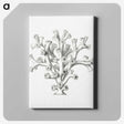 2-46_Ernst-Haeckel_canvas