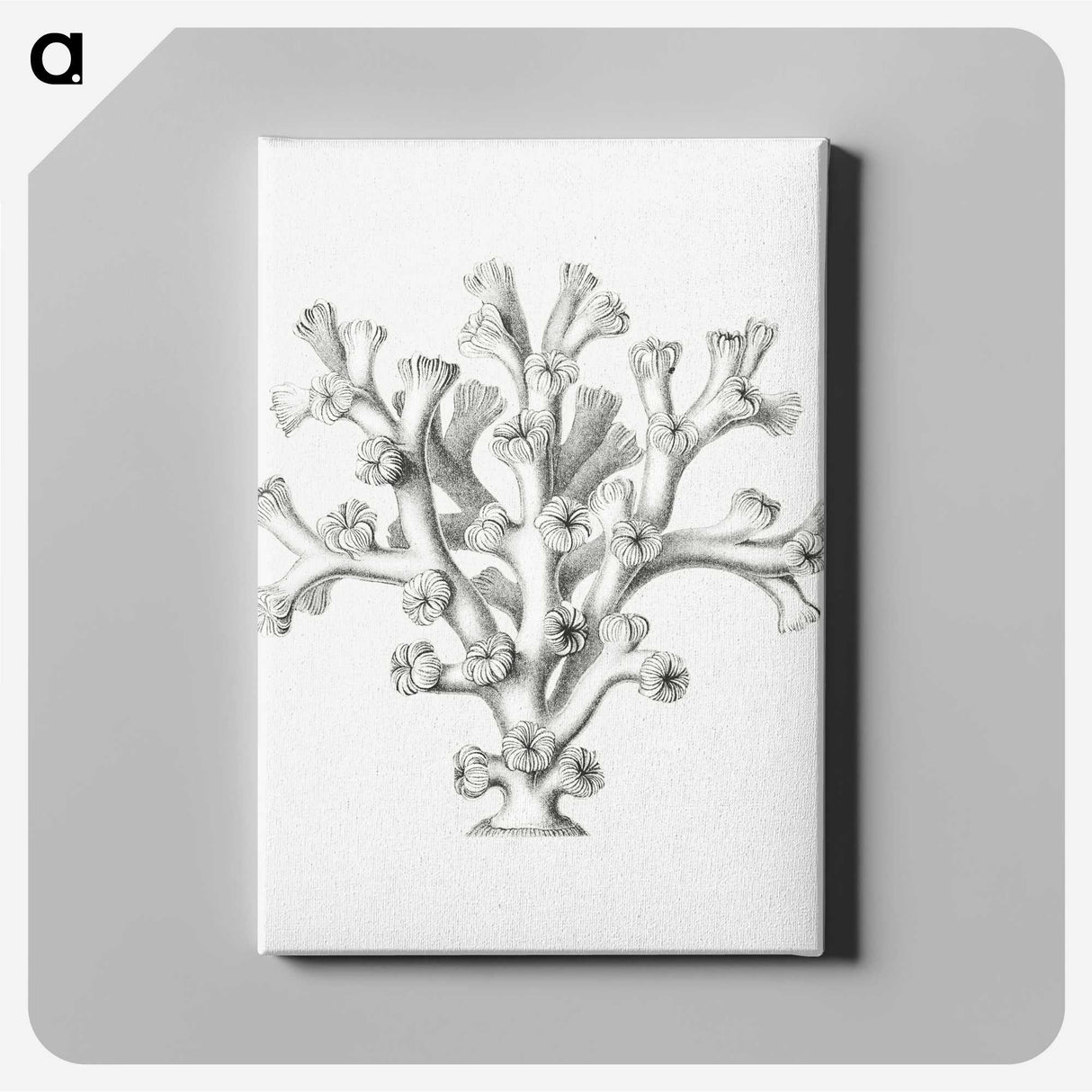 2-46_Ernst-Haeckel_canvas