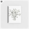 2-46_Ernst-Haeckel_memo