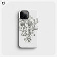 2-46_Ernst-Haeckel_phone