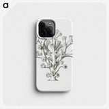 2-46_Ernst-Haeckel_phone