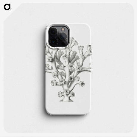 2-46_Ernst-Haeckel_phone