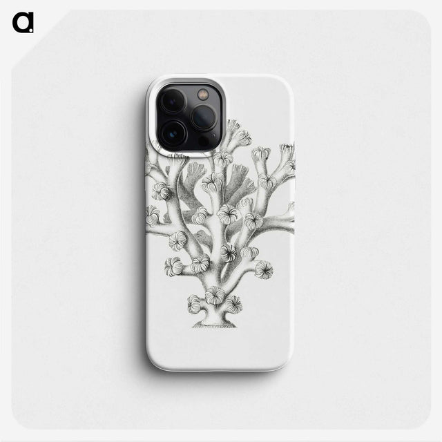 2-46_Ernst-Haeckel_phone