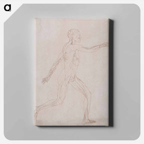 アートパネル-Human Figure, Lateral View
 - ジョージ スタッブス Canvas.