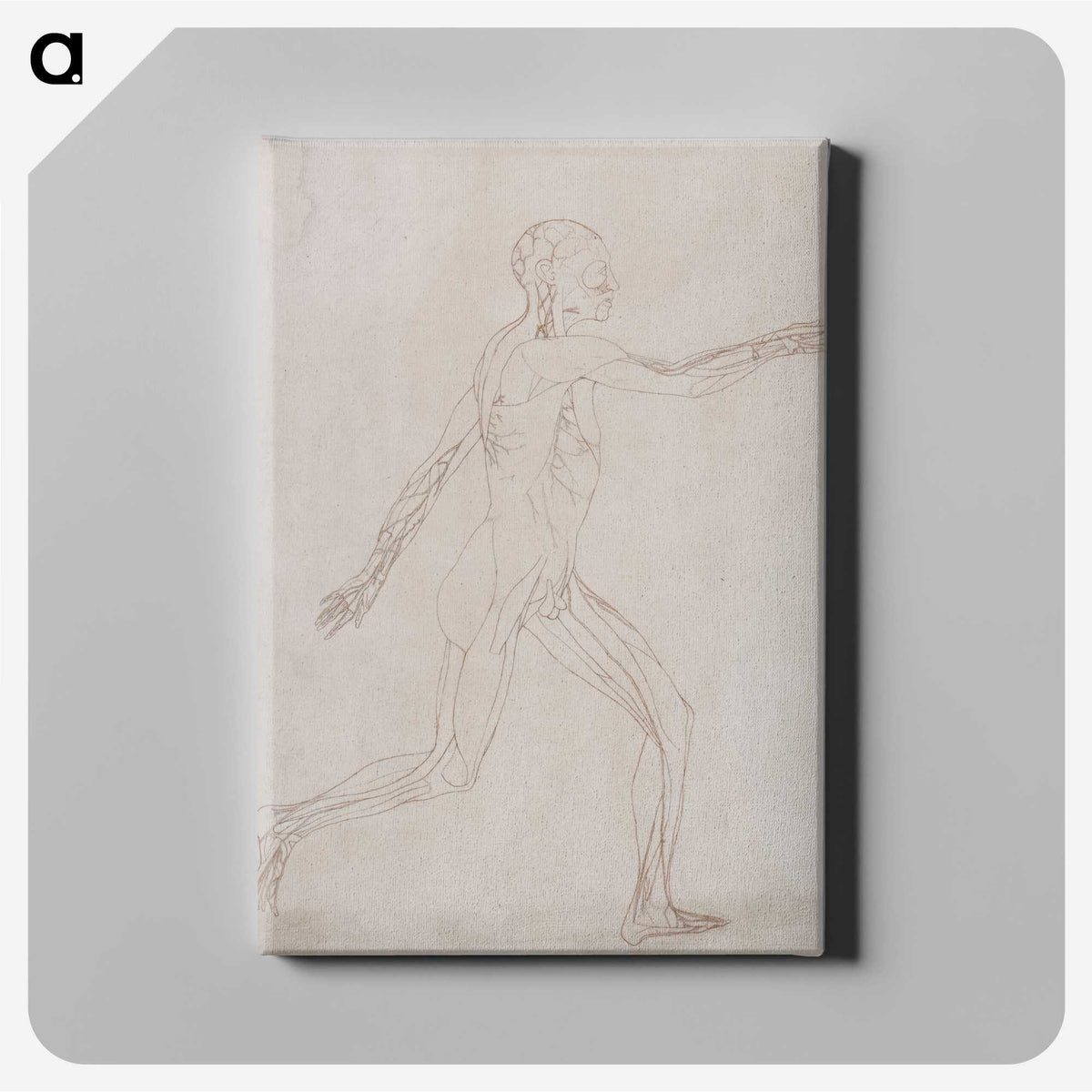 2-46_George-Stubbs_canvas