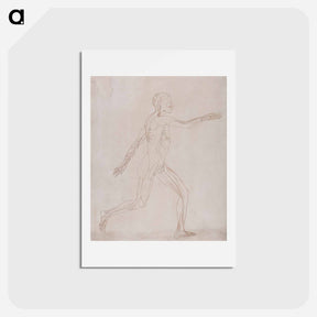 アートポストカード-Human Figure, Lateral View
 - ジョージ スタッブス Postcard.
