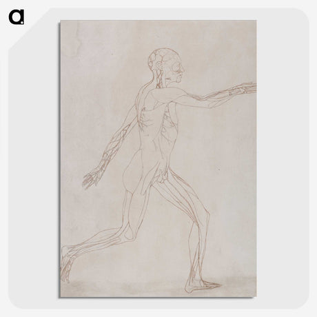2-46_George-Stubbs_picture-crop