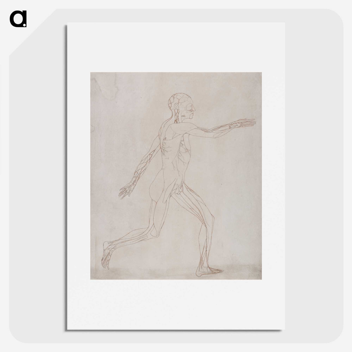2-46_George-Stubbs_picture