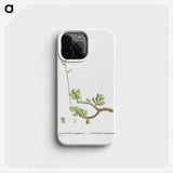 2-46_Histoire-des-Plantes-Grasses_phone