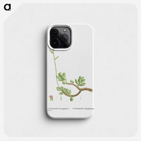 2-46_Histoire-des-Plantes-Grasses_phone