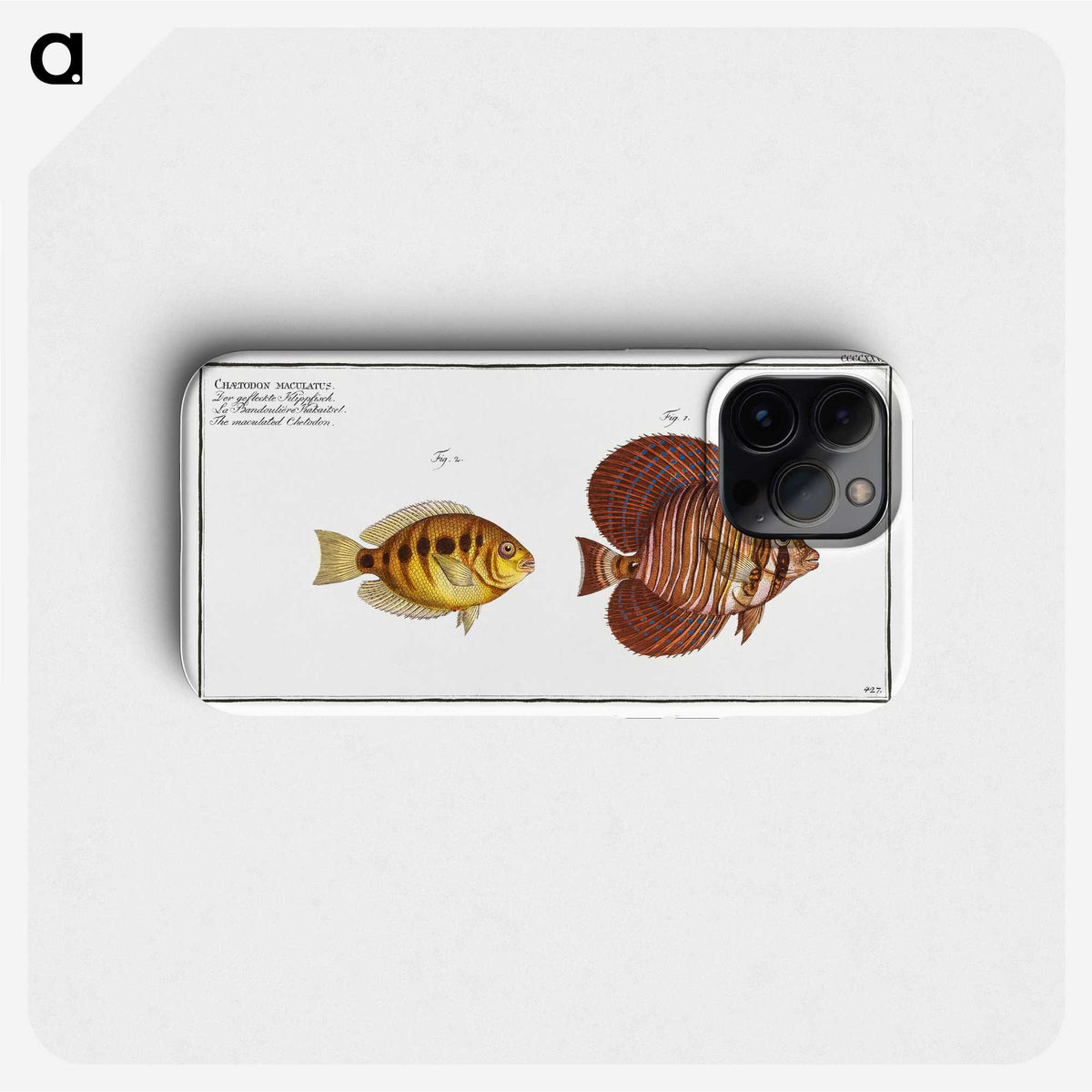 2-46_Ichtyologie-ou-Histoire-naturelle_phone