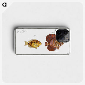 2-46_Ichtyologie-ou-Histoire-naturelle_phone