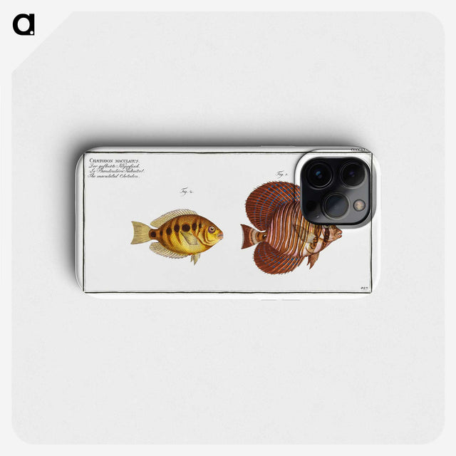 2-46_Ichtyologie-ou-Histoire-naturelle_phone