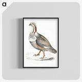 2-46_Indian-Zoology_blk-crop