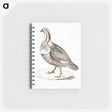 2-46_Indian-Zoology_memo