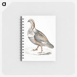 2-46_Indian-Zoology_memo