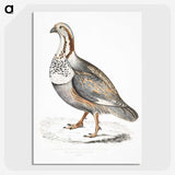 2-46_Indian-Zoology_picture-crop