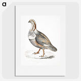 2-46_Indian-Zoology_picture