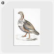 2-46_Indian-Zoology_postcard