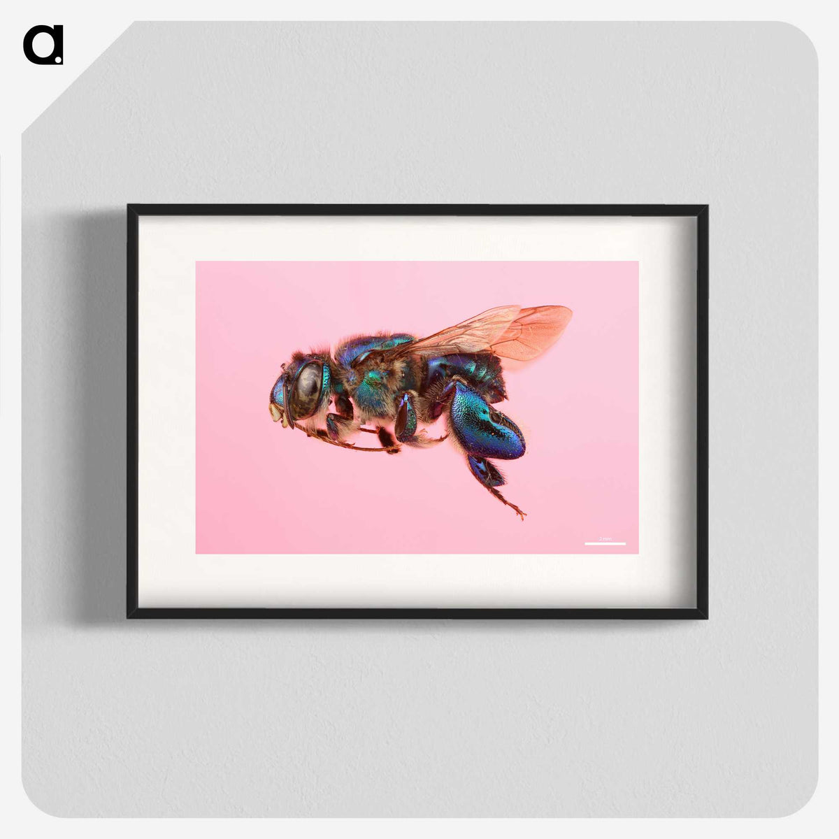 2-46_Insects-Unlocked-Project_blk